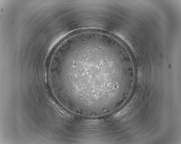 X0000060780925200511171239