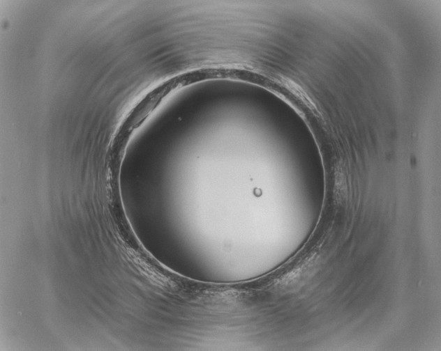 X0000060780926200511171239