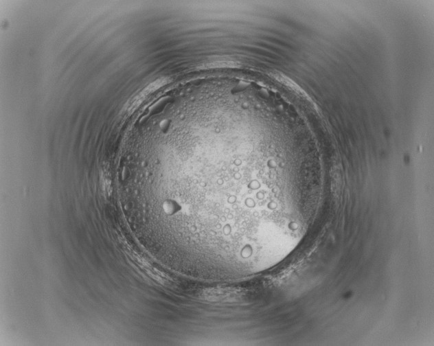 X0000060780929200511171239