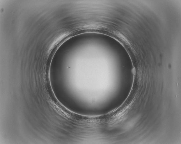 X0000060780930200511171239