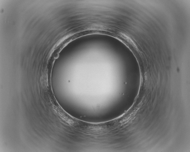 X0000060780931200511171239