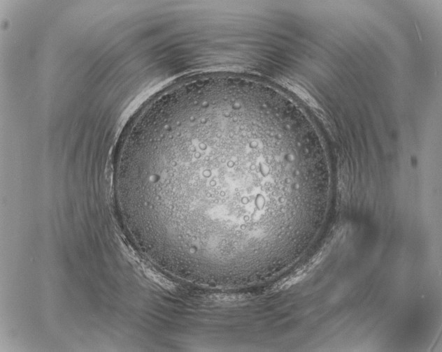 X0000060780933200511171239