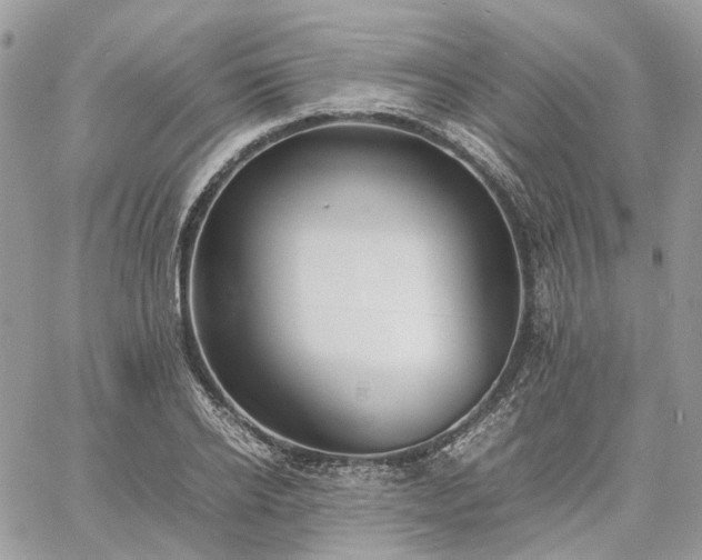 X0000060780934200511171239