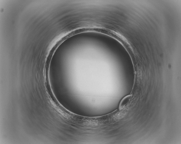 X0000060780935200511171239