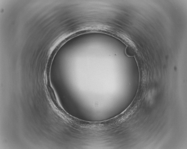 X0000060780936200511171239