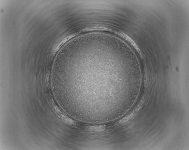 X0000060780937200511171239