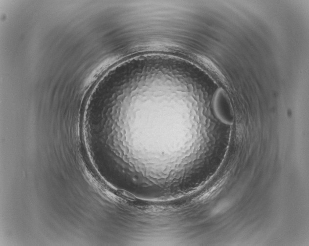 X0000060780938200511171239