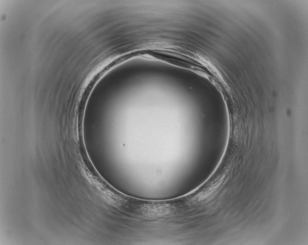 X0000060780939200511171239