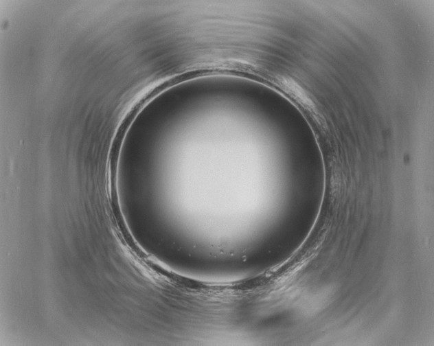 X0000060780940200511171239