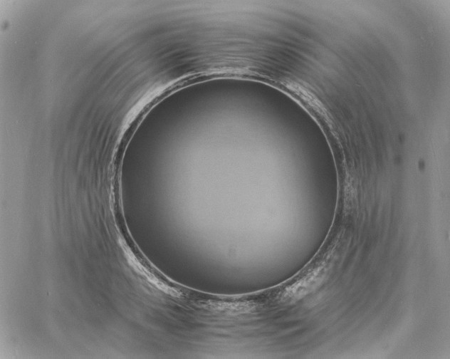 X0000060780941200511171239