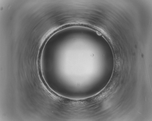 X0000060780943200511171239