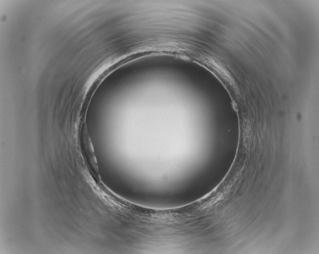 X0000060780944200511171239