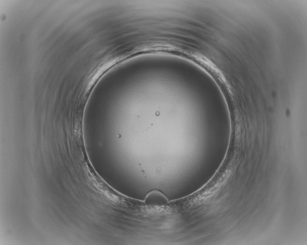 X0000060780945200511171239