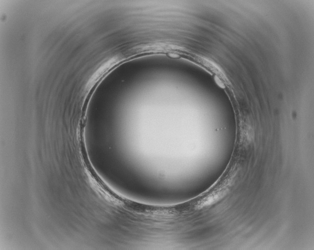 X0000060780946200511171239