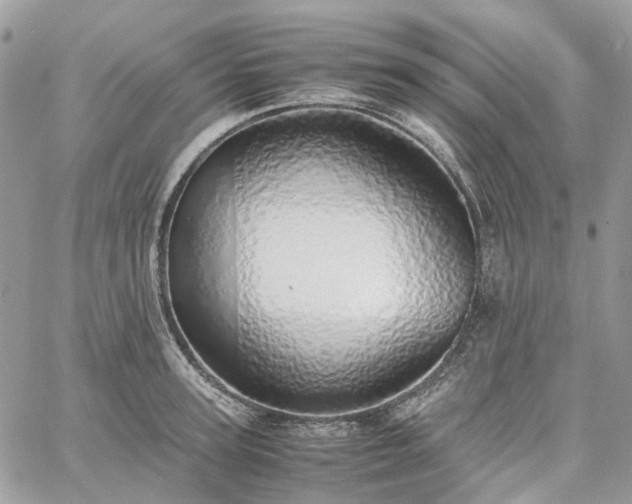 X0000060780947200511171239