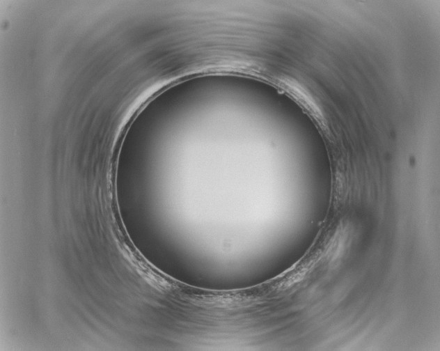 X0000060780948200511171239