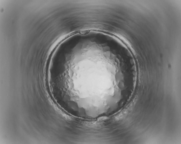 X0000060780949200511171239