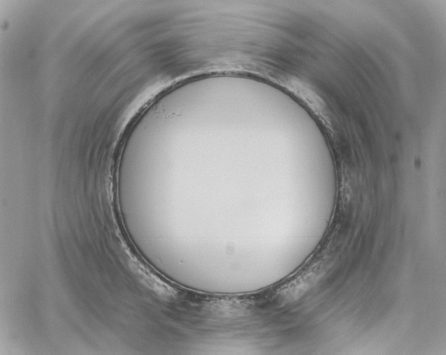 X0000060780950200511171239