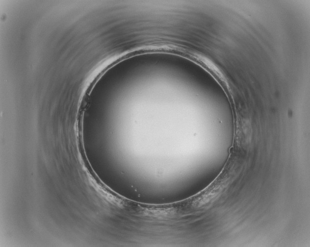 X0000060780951200511171239