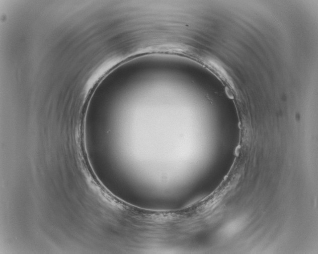 X0000060780952200511171239