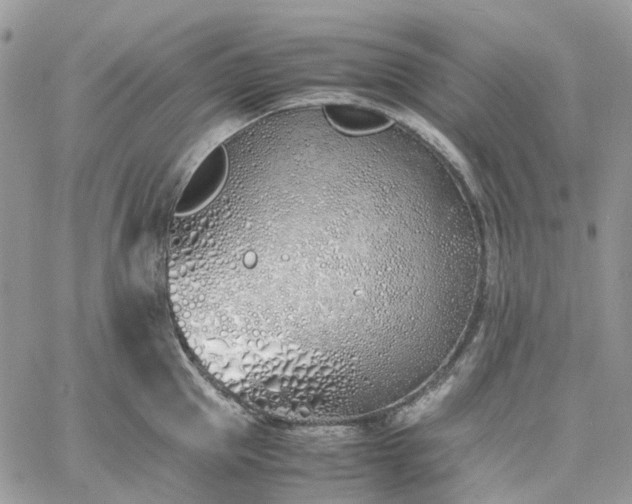 X0000060780953200511171239