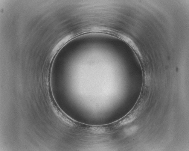 X0000060780954200511171239