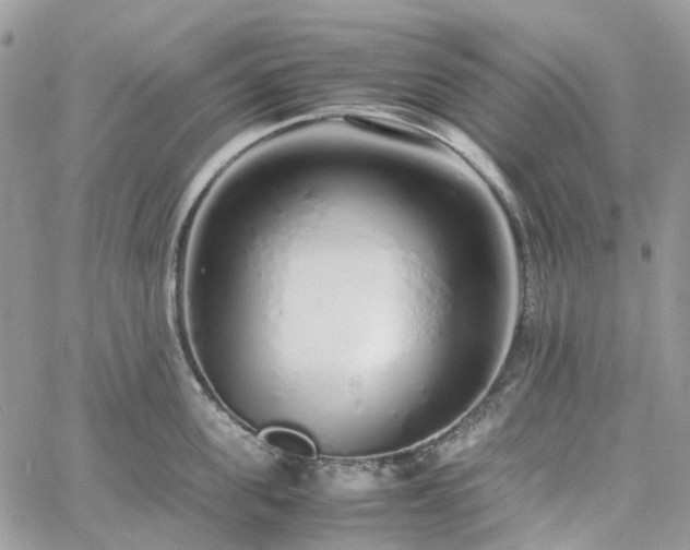 X0000060780955200511171239