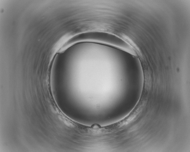 X0000060780956200511171239