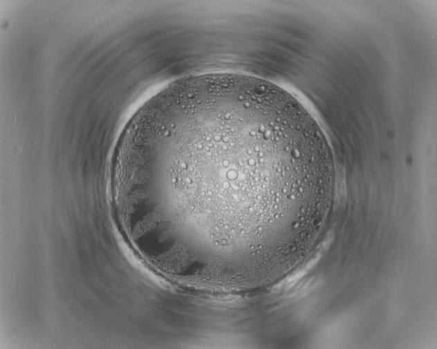 X0000060780957200511171239