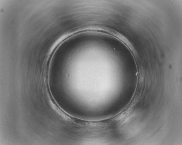 X0000060780958200511171239