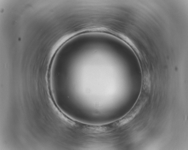 X0000060780959200511171240