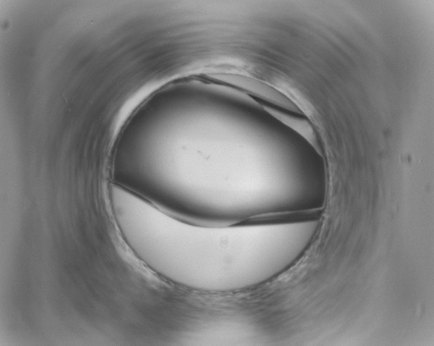 X0000060780960200511171240