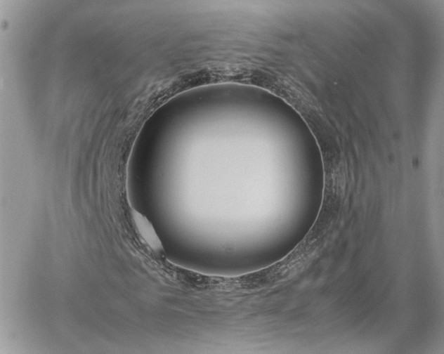 X0000060780961200511171239