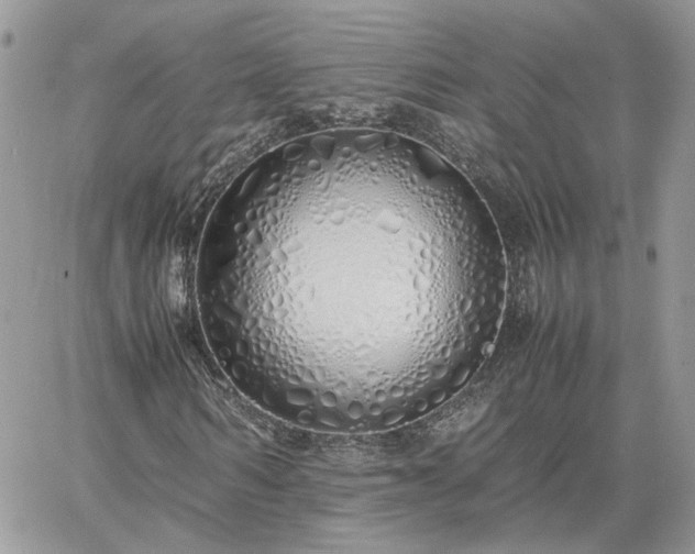 X0000060780962200511171239