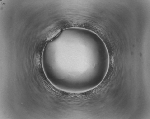 X0000060780963200511171239