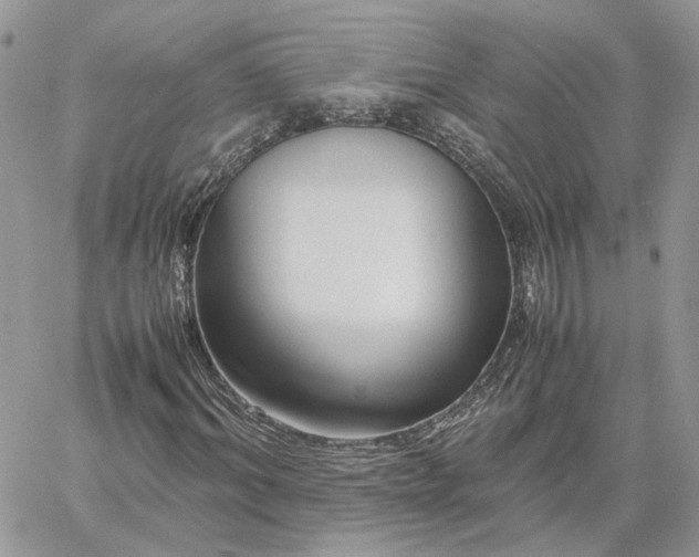 X0000060780964200511171239