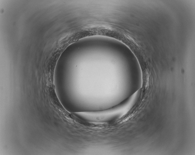 X0000060780965200511171239