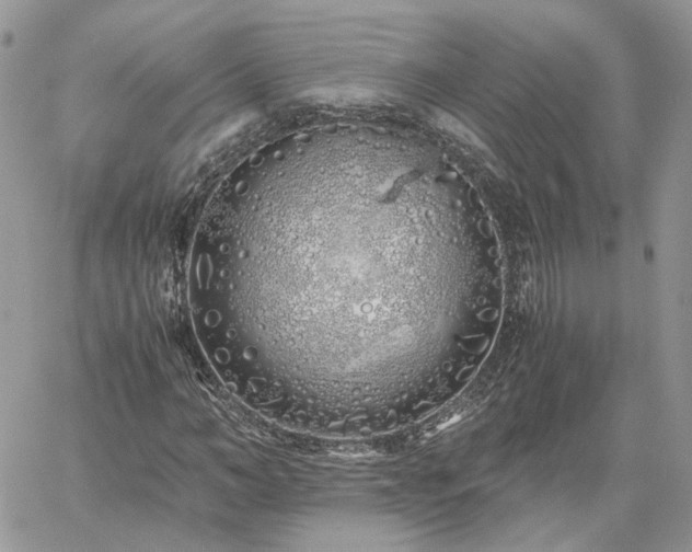 X0000060780966200511171239