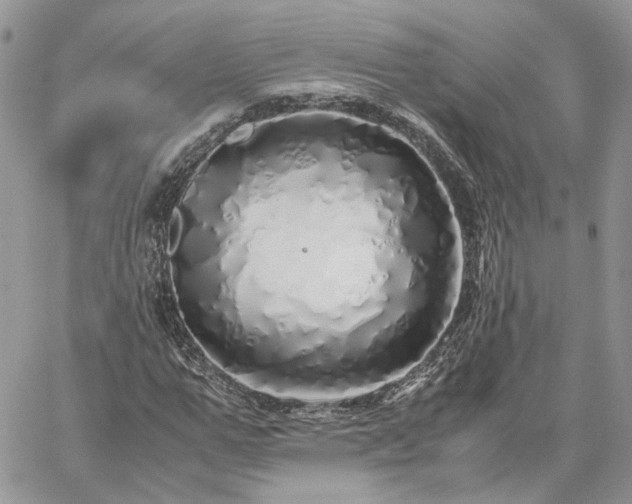 X0000060780967200511171239