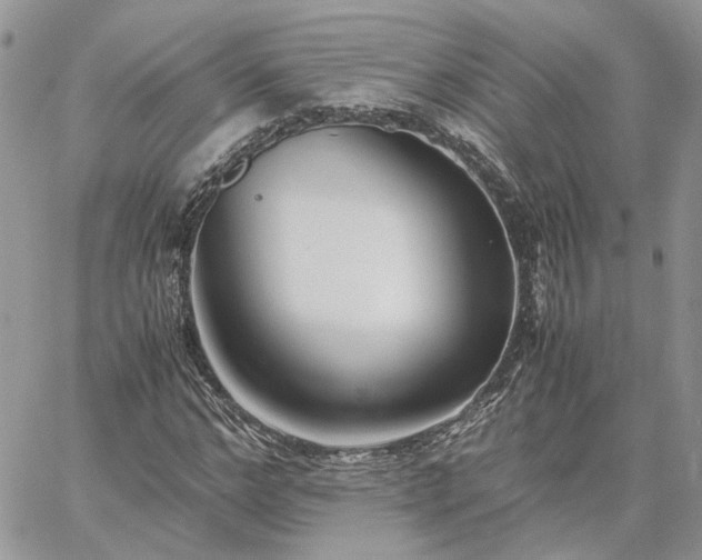 X0000060780968200511171239