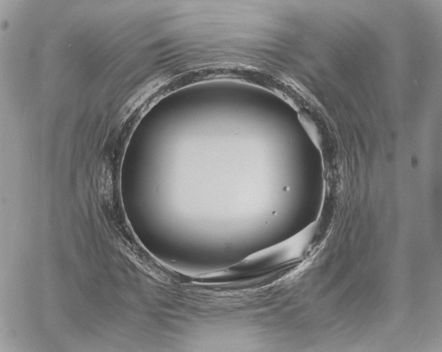 X0000060780969200511171239