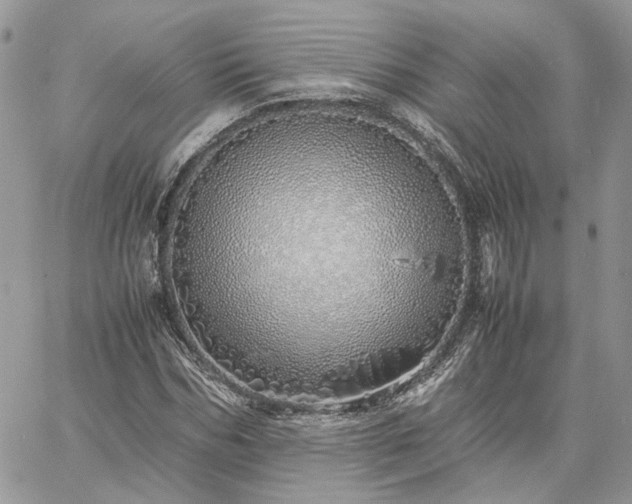 X0000060780970200511171239