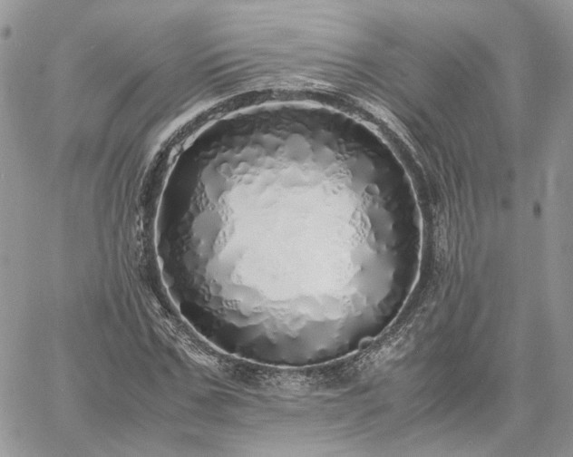 X0000060780971200511171239