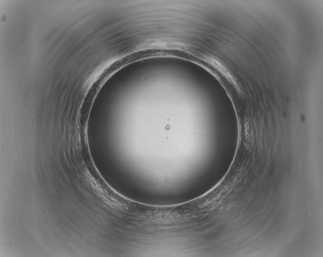 X0000060780972200511171239