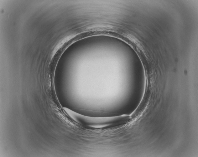 X0000060780973200511171239