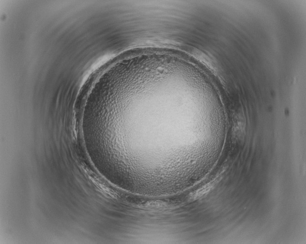 X0000060780974200511171239