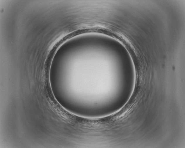 X0000060780975200511171239