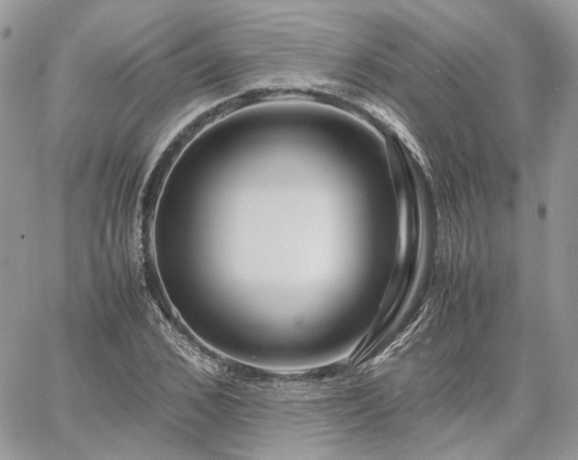 X0000060780976200511171238