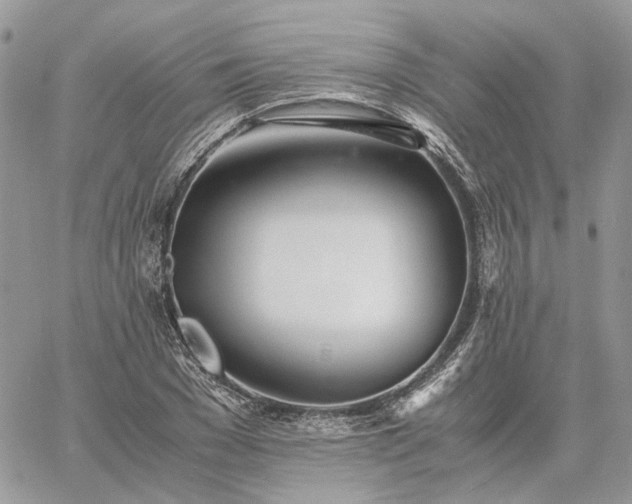 X0000060780977200511171238