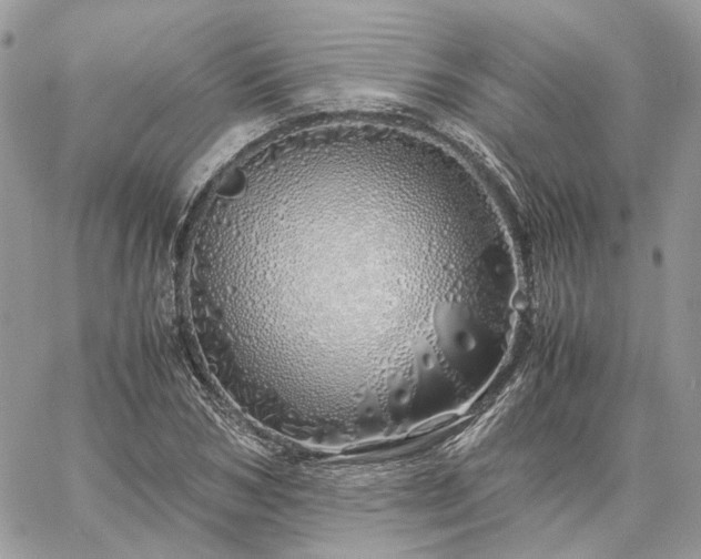 X0000060780978200511171238